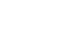 sapid logo